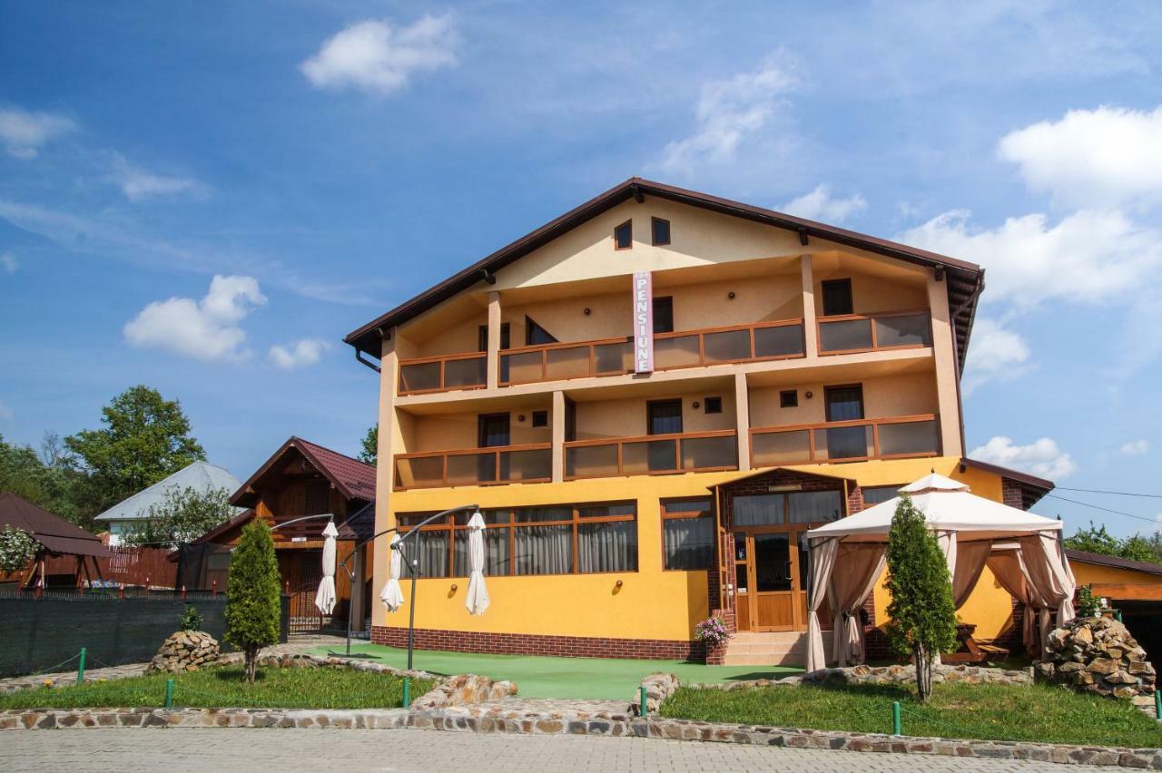 Pensiunea Nicol Hotel Valea Iasului Екстериор снимка