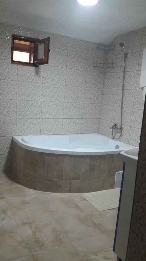 Pensiunea Nicol Hotel Valea Iasului Екстериор снимка