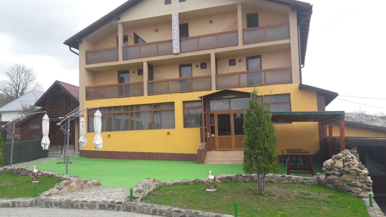 Pensiunea Nicol Hotel Valea Iasului Екстериор снимка